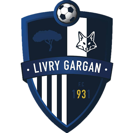 Ligue 1 : Bravo Lille ! - FC Livry-Gargan